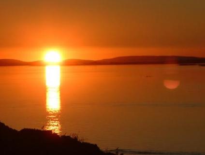 ����������ũ��Ʒ���غ�Ʒ�ƽ���ר���ʽ�������а취